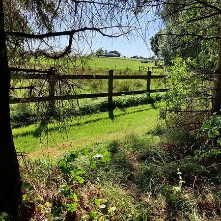 Rosengard *