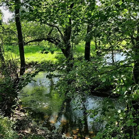 Rosengard * Hammel