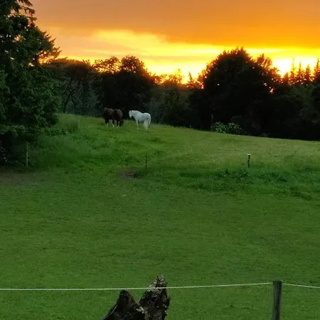 Rosengard *